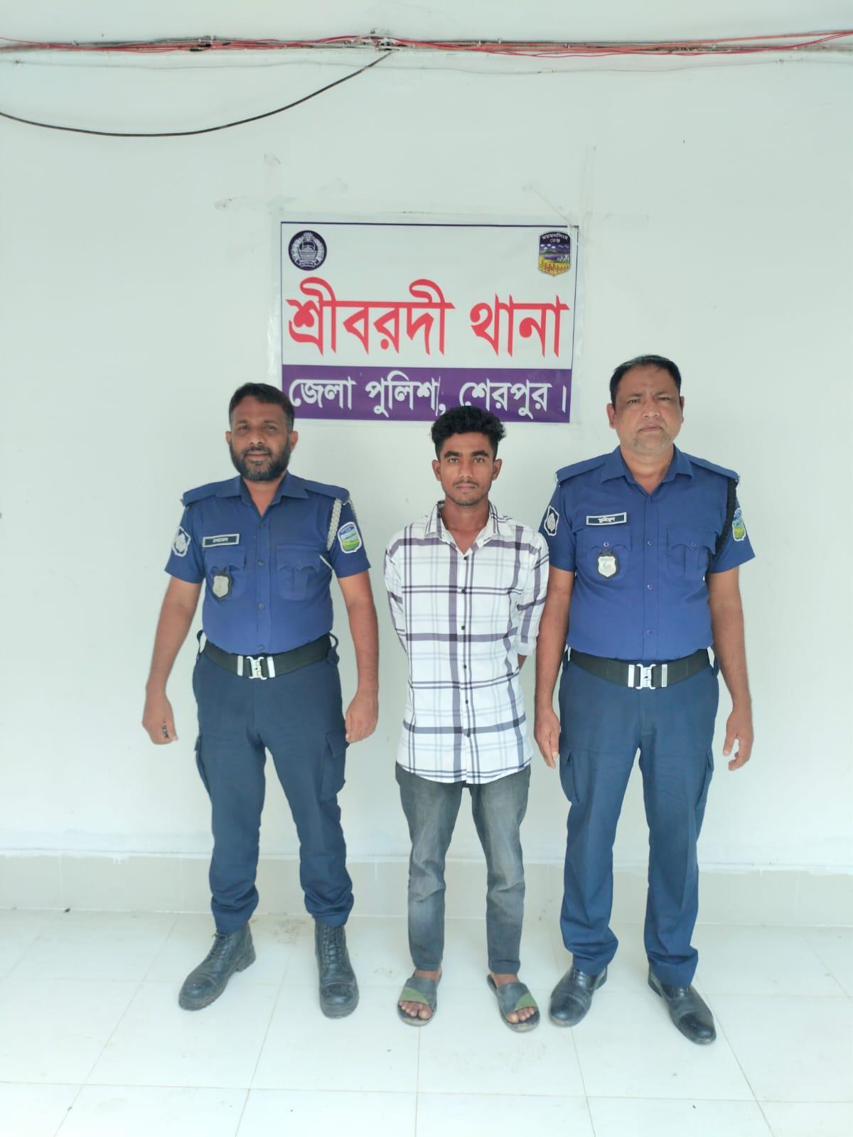 শেরপুরের শ্রীবরদীতে ইয়াবাসহ ১ মাদক কারবারি আটক