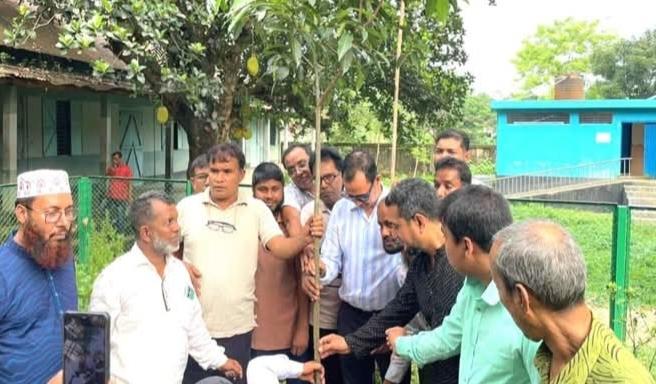 প্রধানমন্ত্রীর সহধর্মিণী  ডাঃ জুবাইদা রহমানের জন্মদিন উপলক্ষে নিজ হাতে বৃক্ষরোপন করলেন এমপি কামরুল।