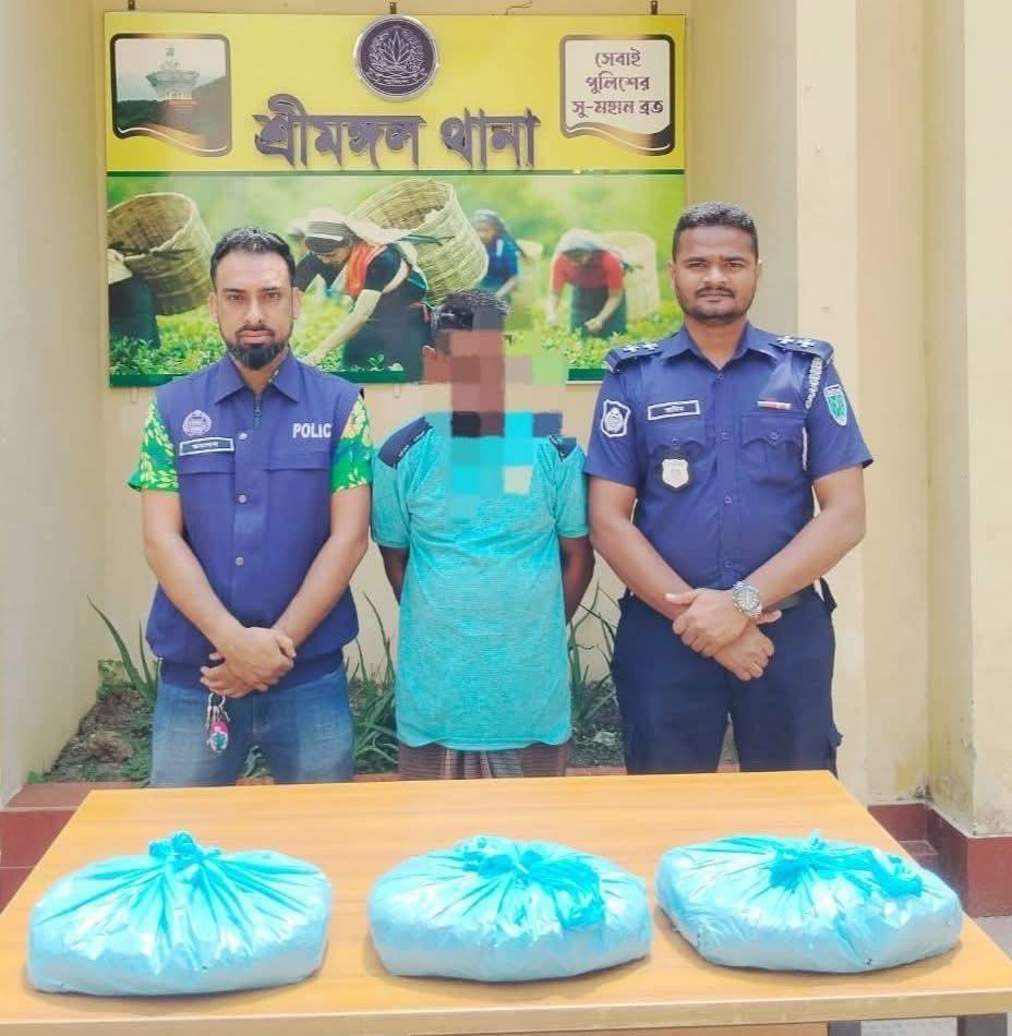 শ্রীমঙ্গলে ৩ কেজি গাঁজাসহ মাদক কারবারি গ্রেফতার