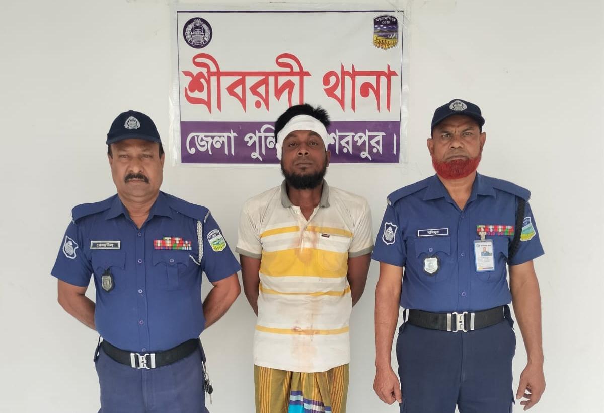 শেরপুরের শ্রীবরদীতে ইয়াবাসহ এক মাদক ব্যবসায়ী আটক