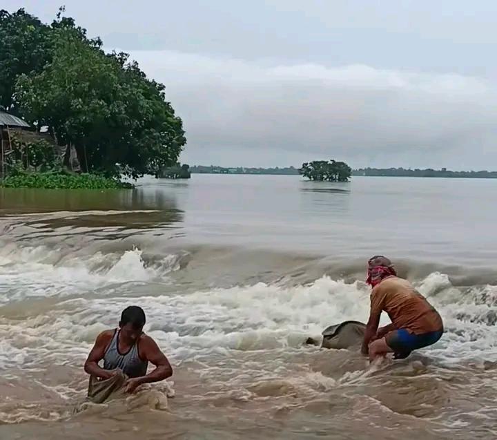 তাহিরপুর-আনোয়ারপুর সড়কে পানি, দুর্ভোগে শিক্ষার্থী ও কর্মজীবীরা আমির হোসেন সুনামগঞ্জ প্রতিনিধ