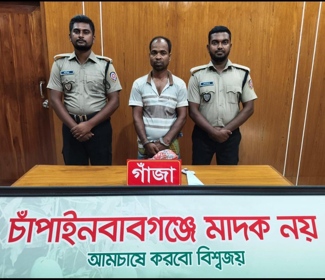 চাঁপাইনবাবগঞ্জ গোমস্তাপুরে ডিএনসির অভিযানে গাঁজাসহ আটক ১