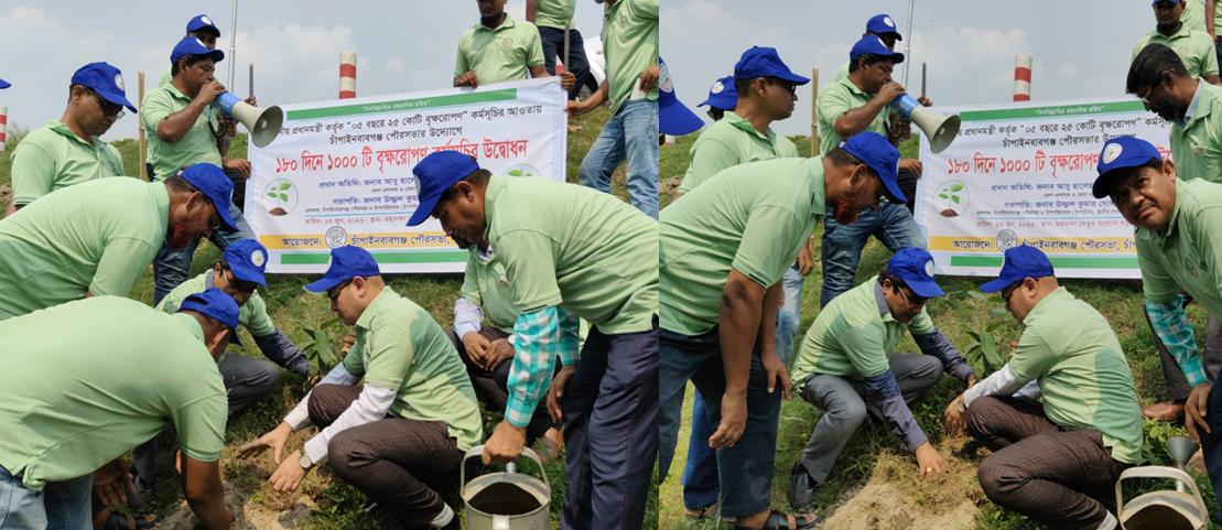 চাঁপাইনবাবগঞ্জ  পৌরসভার উদ্যোগে বৃক্ষরোপণ কর্মসূচীর উদ্বোধন