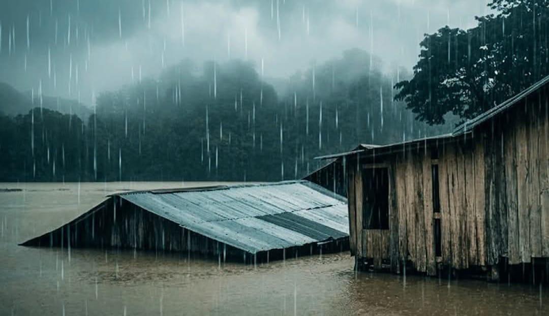 ‘আমাদের তেমন কিছু দরকার নেই। শুধু একটু চাল বা ভাত পেলেই হবে। আমরা না খেয়ে থাকতে পারব, কিন্তু আমাদের শিশুদের অন্তত খাবার দিতে হবে।